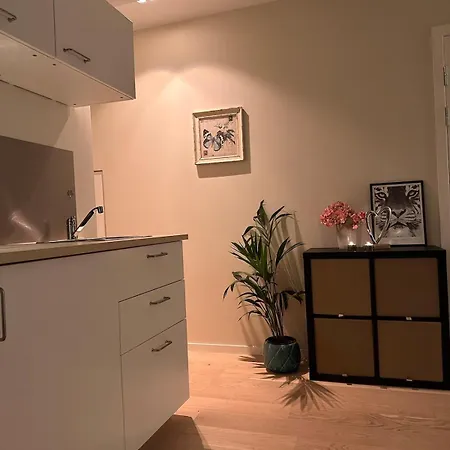 Cozy Small * 特罗姆瑟